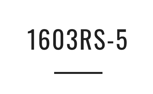 ワールドシャウラ1603RS-5のインプレ